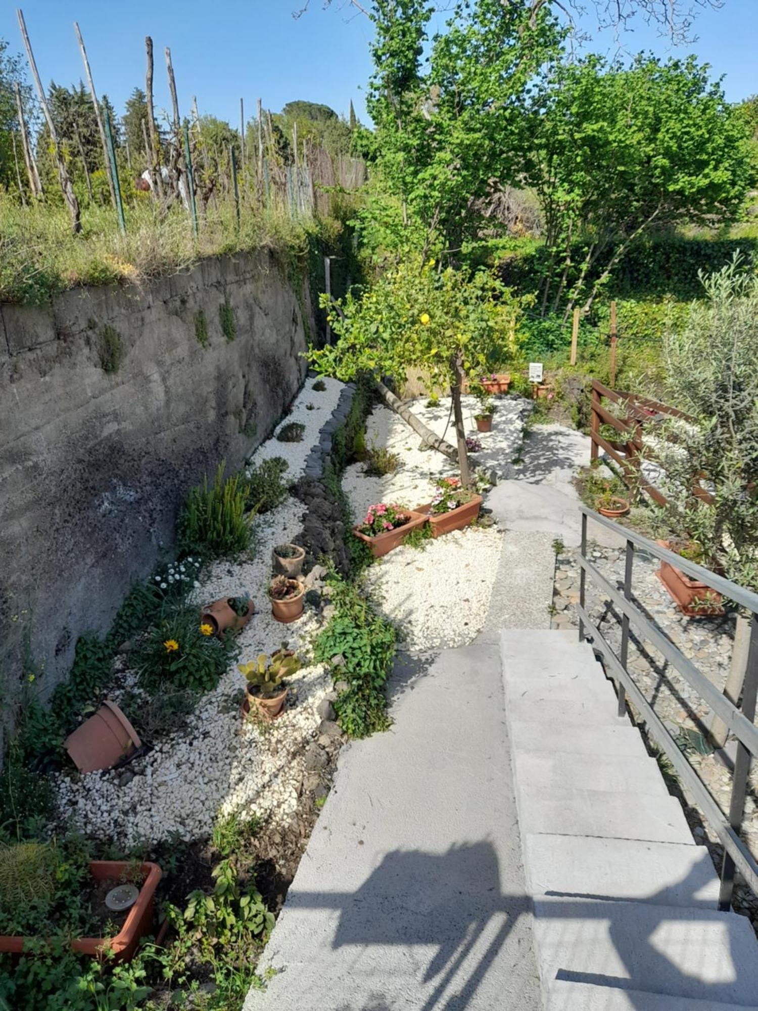 Sikelia Etna House Villa Zafferana Etnea Kültér fotó